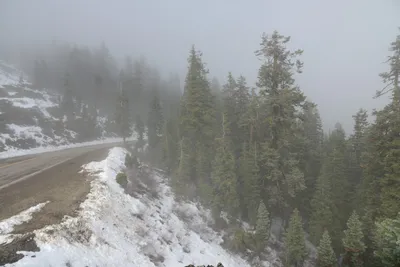 DSC_0874 (Large).JPG